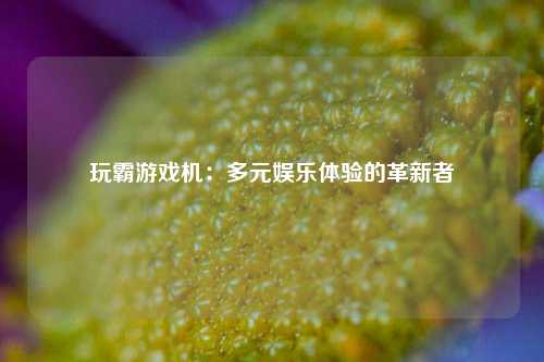 玩霸游戏机:多元娱乐体验的革新者