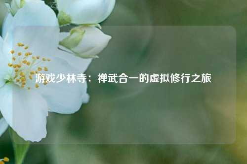 游戏少林寺：禅武合一的虚拟修行之旅