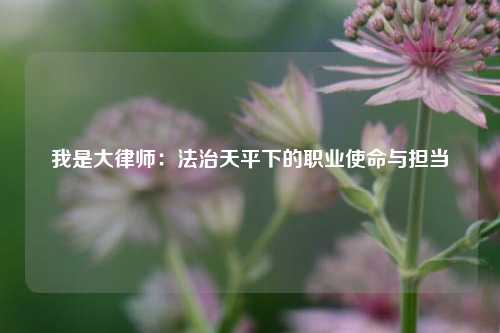 我是大律师：法治天平下的职业使命与担当