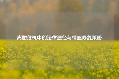 离婚危机中的法律途径与情感修复策略