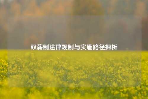 双薪制法律规制与实施路径探析