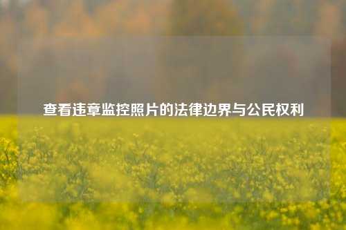查看违章监控照片的法律边界与公民权利